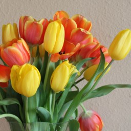 He Is Risen…He Is Risen, Indeed!