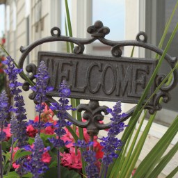 bringing color to my life